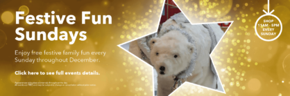 Enjoy Free Festive Family Fun!