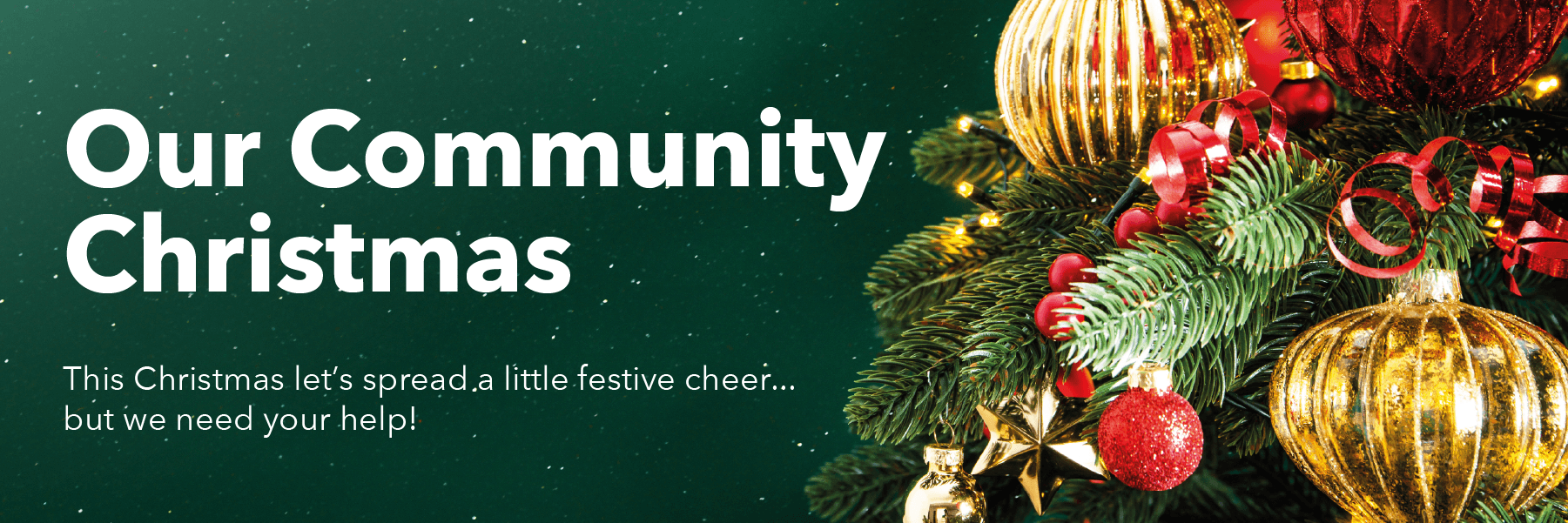Celebrating A Community Christmas!