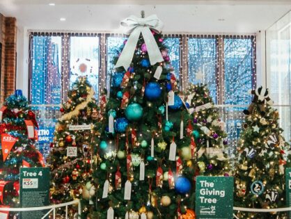 And the Christmas Tree Festival winner is…