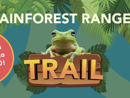 It's Giving Wild Imagination - Rainforest Trail